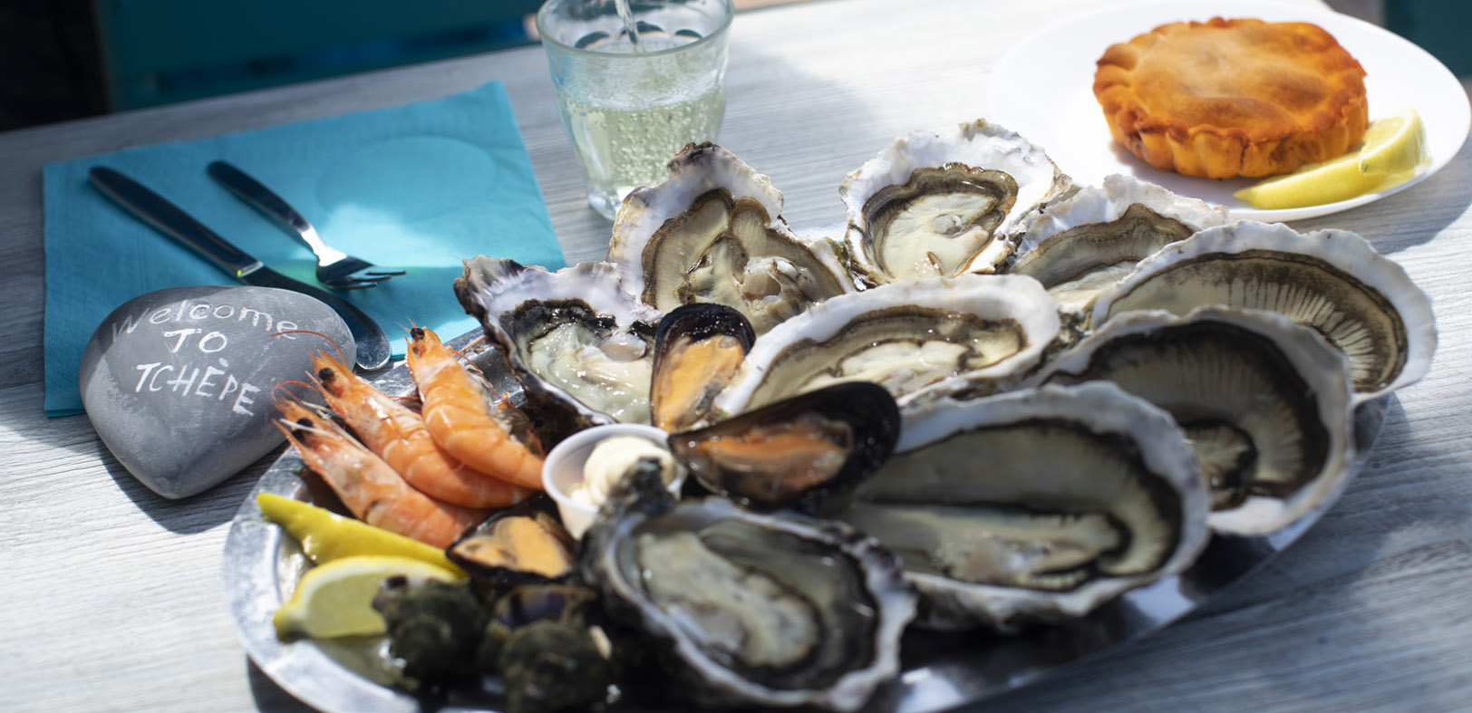 Oyster Shucker Lot de 2 pinces pour huîtres - pour fruits de, coquillages -  Pour Support Hu?tres Coquillages